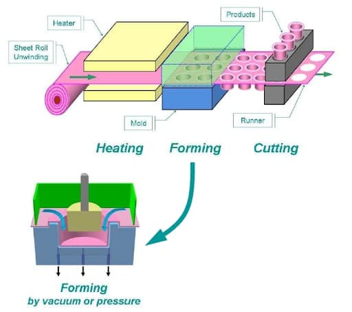 Thermoform Packaging Thermoform Packaging